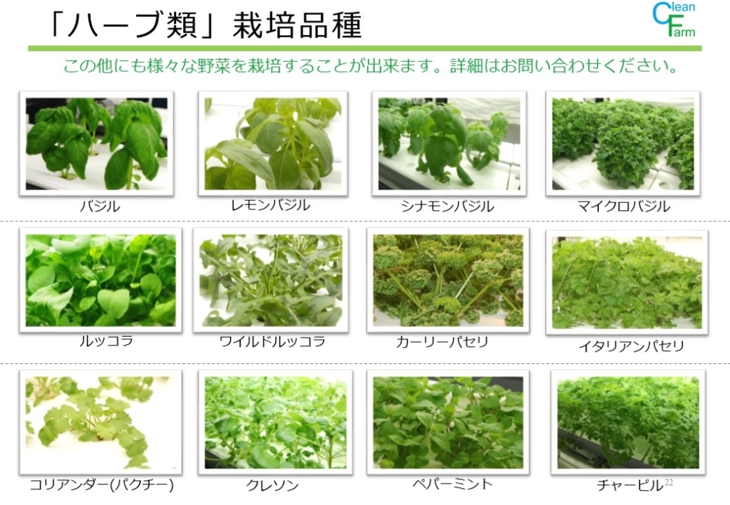 ハーブ類 東京 千葉で植物工場栽培システムの開発 製造 販売施工や野菜 販売を手掛けているクリーンファームです エディブルフラワーを始め 70種類以上の野菜 ミニリーフ ハーブを栽培しております